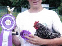 country fair barred rock chicken winner