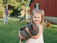 Girl holding a cuckoo marans chicken