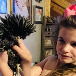 chicken with feather do