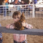Girl Chicken Rodeo