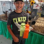 Best in Show