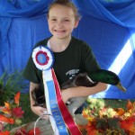 Best in show