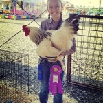 best of breed Light Brahma