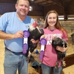 Runner up best of breed