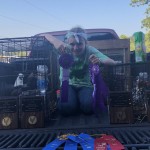 best of breed
