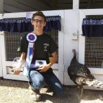 best of breed runner up