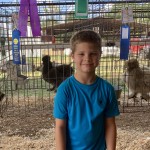 best of breed silkie