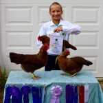 Best of breed, welsummer