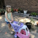 girl pushing chicken
