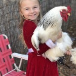 girl holding chicken