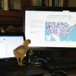 chick watching monitor