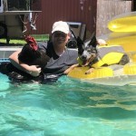 chicken in pool