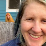chicken on fence