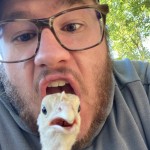 funny chicken face