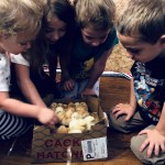 kids with baby chickens