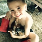 boy holding chicken