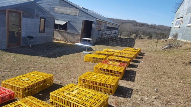 Breeding Farms