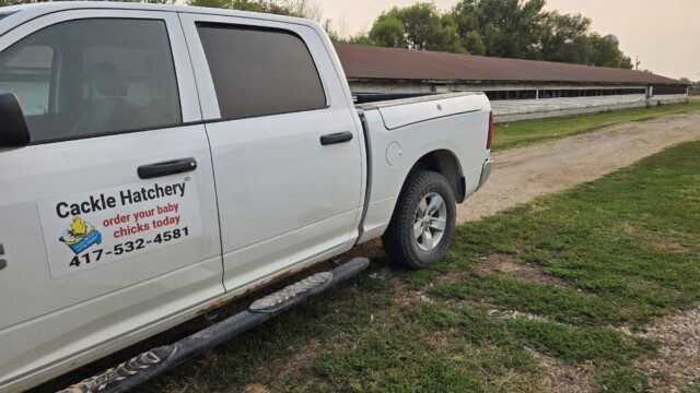 Cackle Hatchery Pickup Truck
