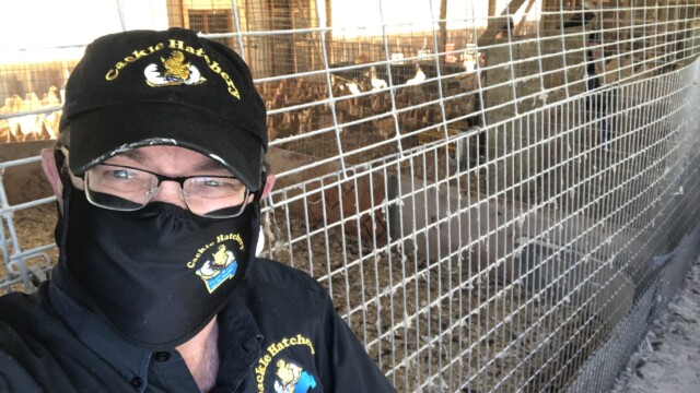 Breeding Farms