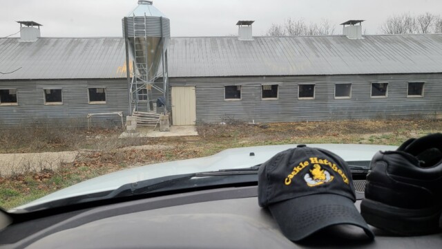 Breeding Farm
