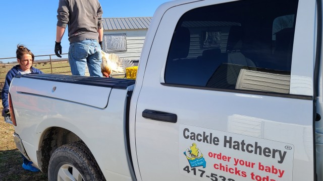 Cackle Hatchery Truck