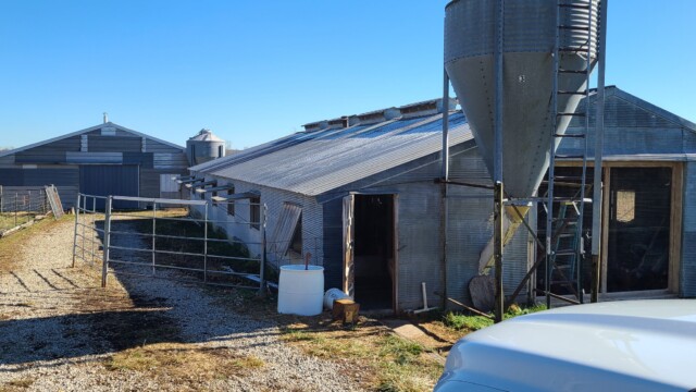 Breeding Farm