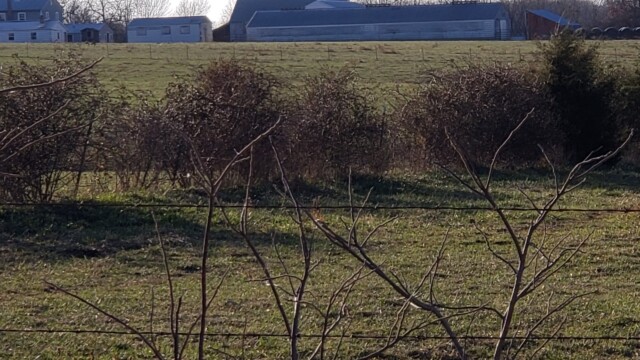 breeder farm
