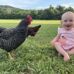 Baby with Chickens