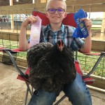 Boy with Ribbon Winning Chickens