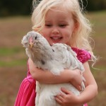 Girl holding a chicken