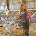 Award Winning Chicken