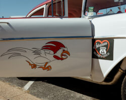 Rooster on Car Door