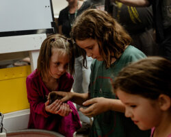 Kids holding Baby Chick