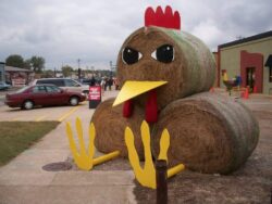 Hay Bale chicken
