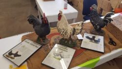 Cackle Ceramic Chickens
