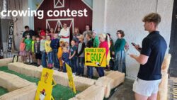 Crowing Contest