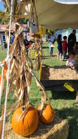 Cackle Annual Festival