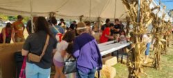 Cackle Annual Festival