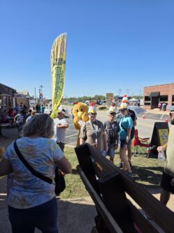 Cackle Festival