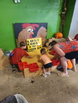 egg hunt