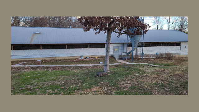 Breeder Farm