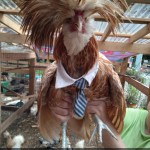 Chicken with tie on