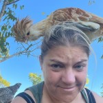 Chicken sitting on womens head.