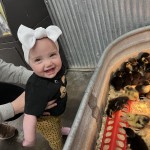 Little girl looking at baby chicks smiling