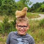 Chicken on top of childs head.