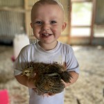 Child holding chicken