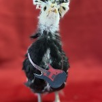 Chicken with toy guitar