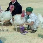 Peggy Einsele Winner Poultry show prize or ribbon
