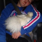 child sleeping with chicken in car seat