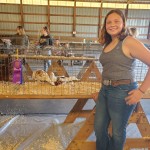Poultry show runner up